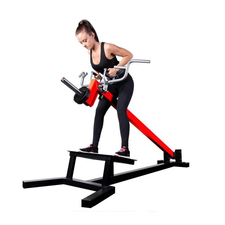 Station de musculation rowing dorsaux haute qualité pour les professionnels