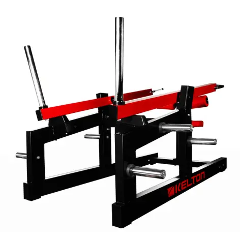 Station professionnelle de musculation pour triceps et biceps - vue 2