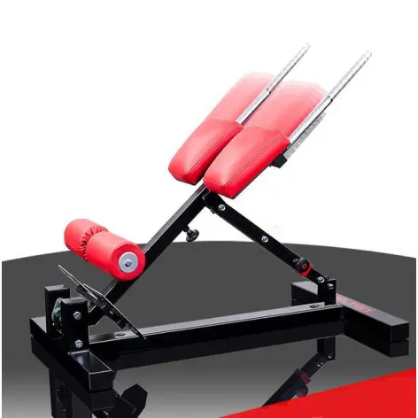 Back extension lombaires et abdominaux pour professionnels - vue 2