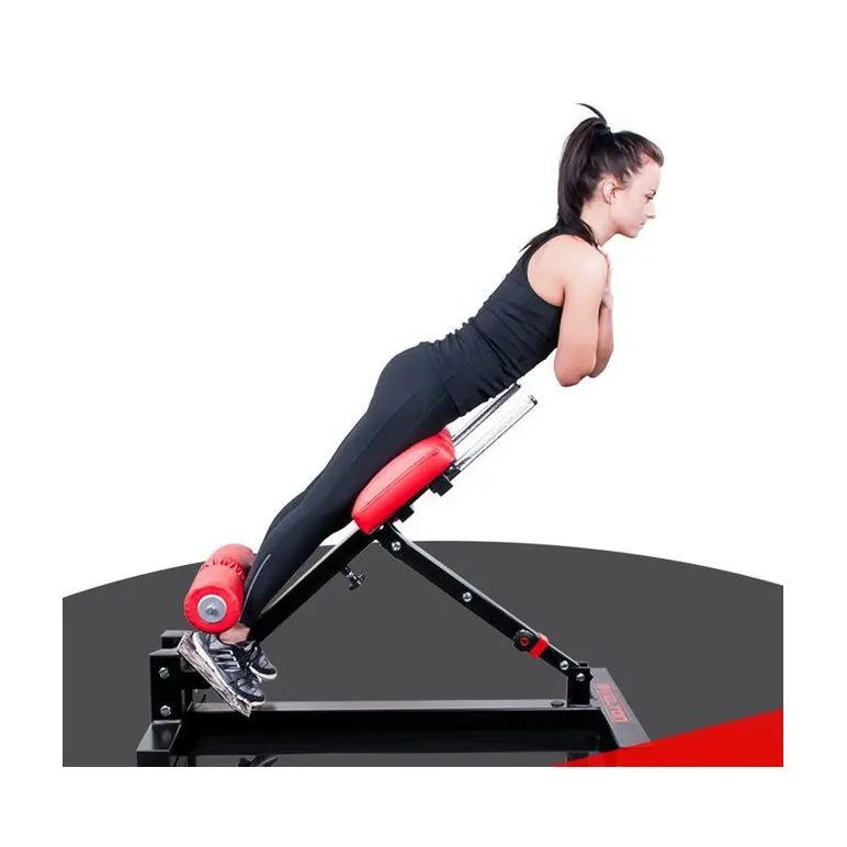 Back extension lombaires et abdominaux pour professionnels