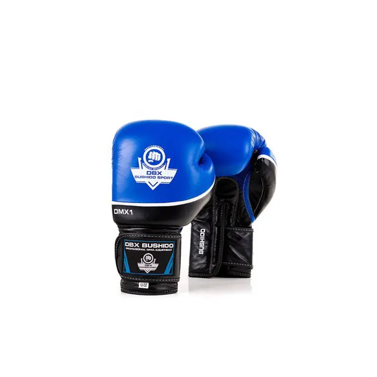 Paire gants de boxe et kick-boxing professionnel