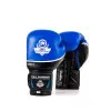 Paire gants de boxe et kick-boxing professionnel