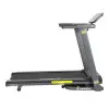 Tapis de course haut de gamme pour training de cardio intense en salle de sport.