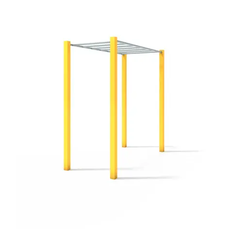 Echelle de street workout pour callisthénie