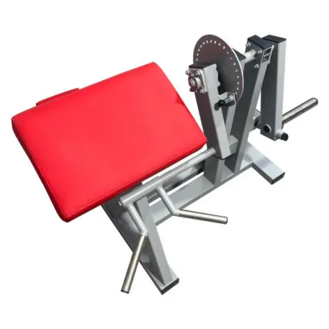 Machine professionnelle pour les triceps et les biceps. - vue 2