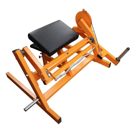 Station de musculation professionnelle Pupitre à biceps haut de gamme. - vue 2