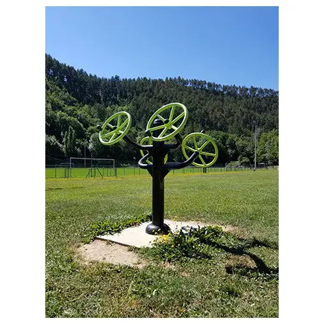 Doubles roues Tai Chi extérieures pour personnes à mobilité réduite - vue 2