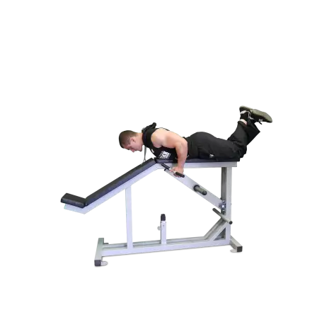 Machine pour le dos professionnelle à charge libre. - vue 2