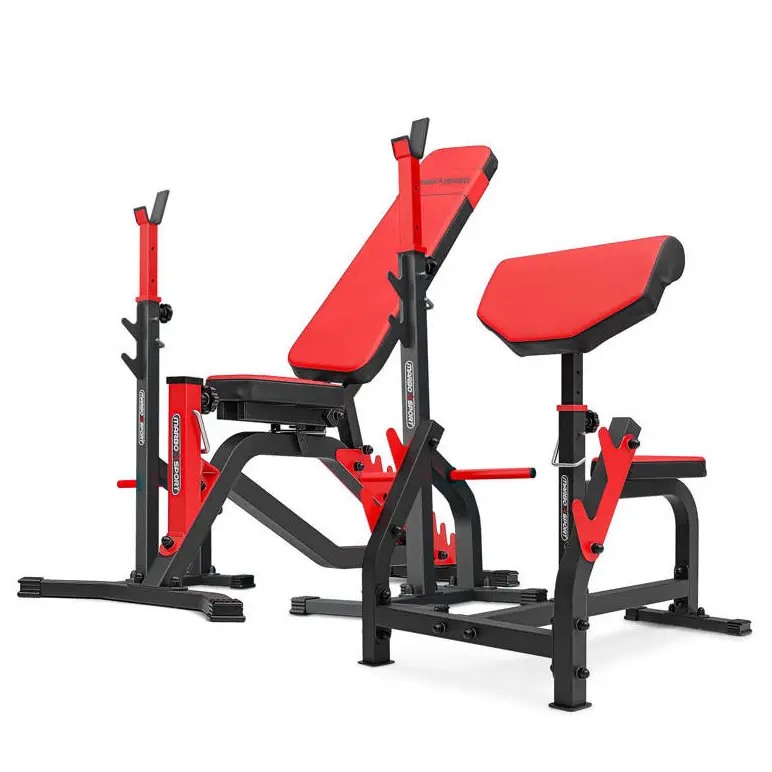 Kit de musculation semi-professionnel pour séance haut du corps intensive.