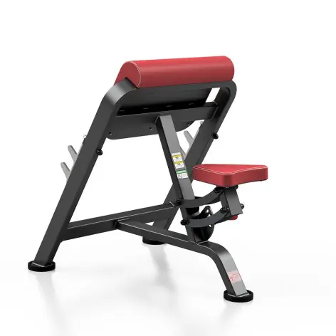 Pupitre à biceps banc Scott professionnel 400 kg - vue 2