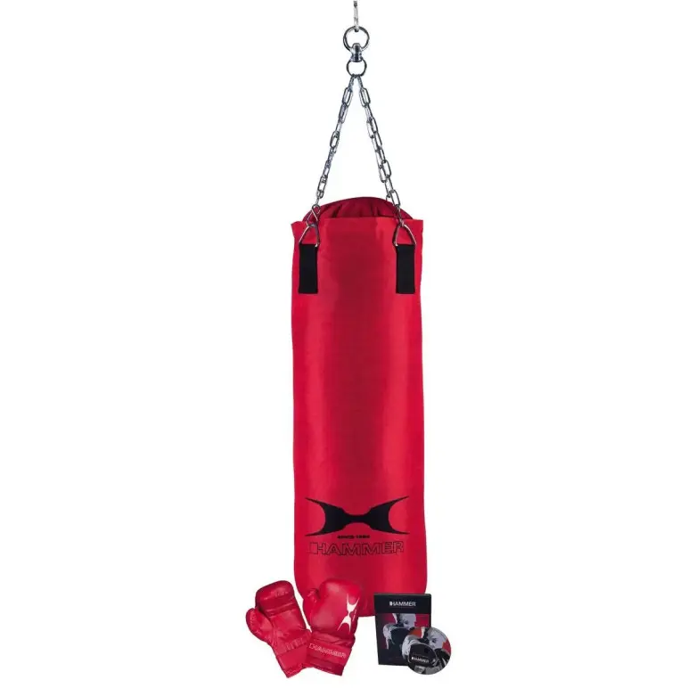 Kit de boxe avec sac de frappe gants de boxe et DVD entraînement