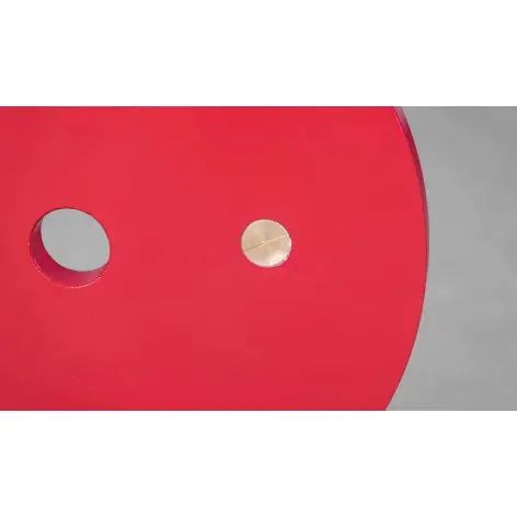 Disques de poids de musculation et powerlifting calibrés - vue 8