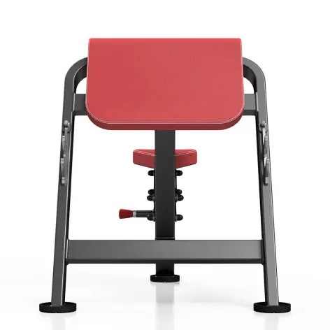 Pupitre à biceps banc Scott professionnel 400 kg - vue 3