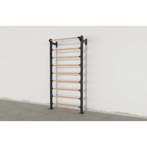 Espalier de musculation et gymnastique - vue 2