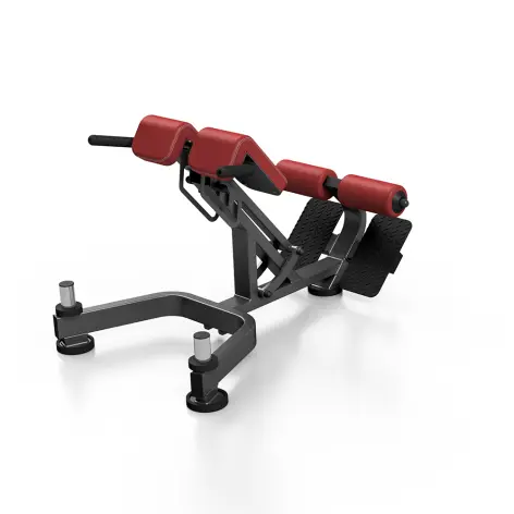 Banc back extension professionnel 350 kg - vue 3