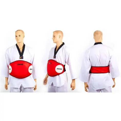 Protection abdominale - vue 3