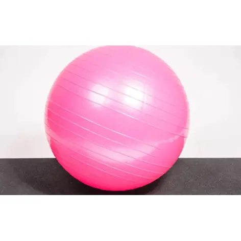 Ballon de Yoga et renforcement musculair - vue 2