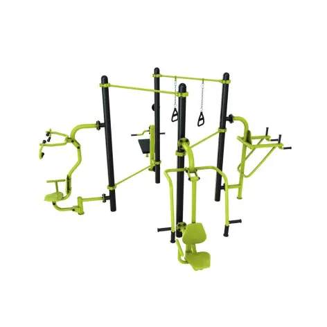 Atelier d'entraînement de callisthénie et street workout - vue 2