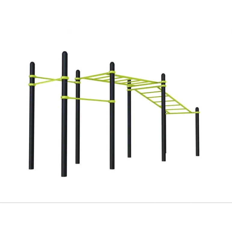 Grand module d'entraînement de street workout  pour PMR