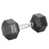 Haltère de musculation à l'unité 10 kg