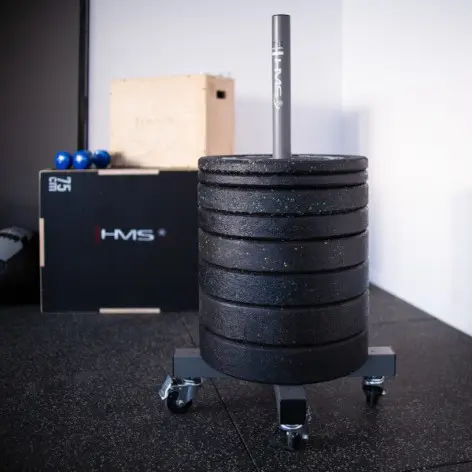 Support de stockage pour disques de poids olympiques 50 mm avec capacité de 200 kg de charge - vue 5
