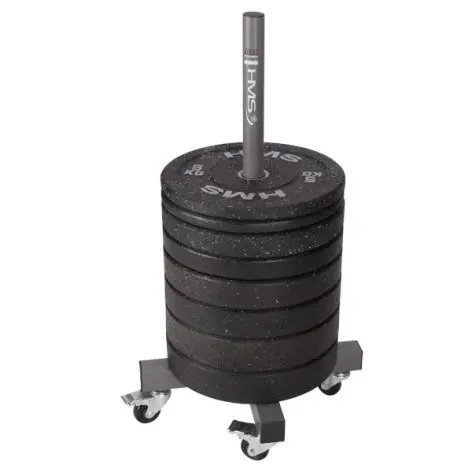 Support de stockage pour disques de poids olympiques 50 mm avec capacité de 200 kg de charge - vue 2