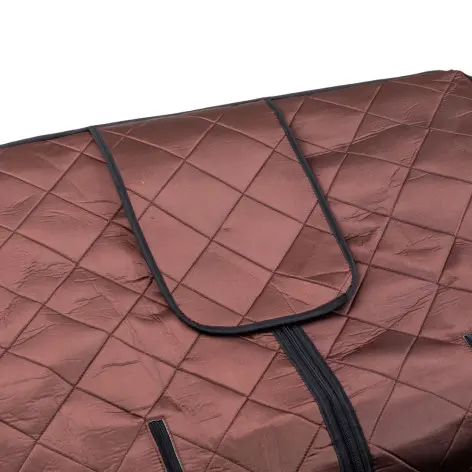 Sauna à lumière rouge pour la récupération musculaire - vue 10