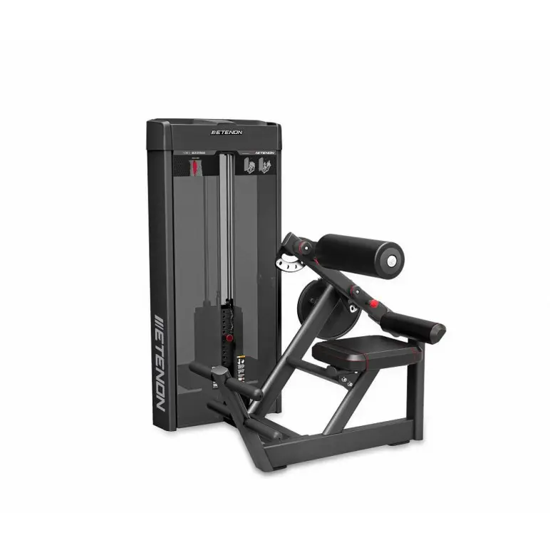 Back extension machine professionnelle charge guidée pour l'entraînement des lombaires