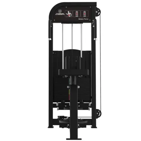 Appareil charge guidée pour obliques en salle de sport commerciale - vue 3