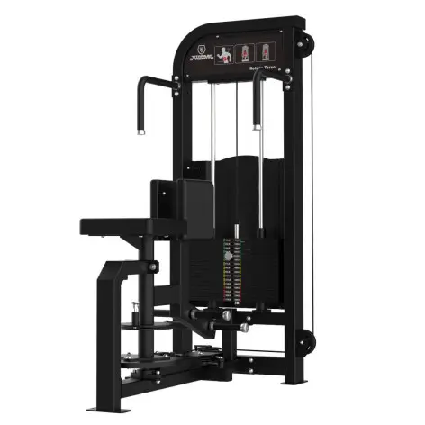 Appareil charge guidée pour obliques en salle de sport commerciale - vue 2