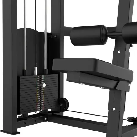 Appareil Lat PullDown à charge guidée pour salle de musculation commerciale - vue 5