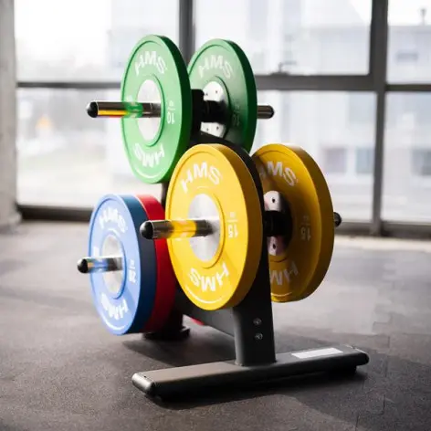 Support de rangement pour disques de poids olympiques - Capacité de charge 500 kg - Home Gym - vue 2