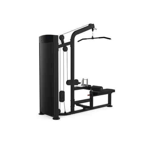 High pulley machine dual rowing station pour professionnels - vue 3