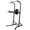 Tour de musculation chaise romaine tractions, abdimnaux, dips et pompes