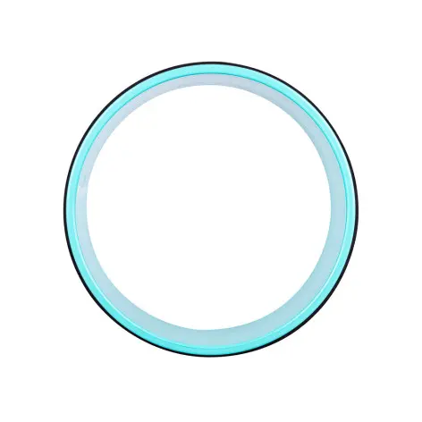 Roue de yoga pour l'étirement du corps - vue 2