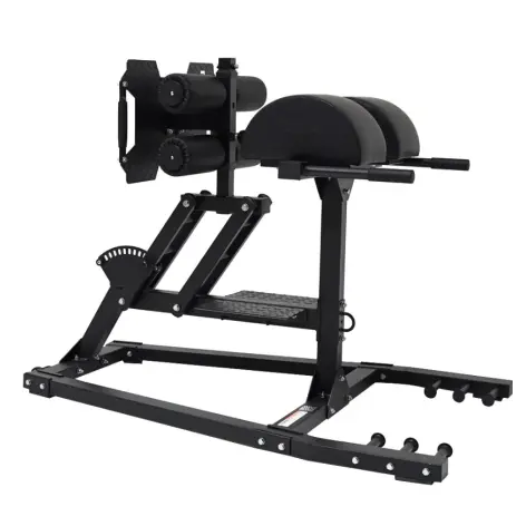 Glute Ham Developer professionnel Force USA - vue 2