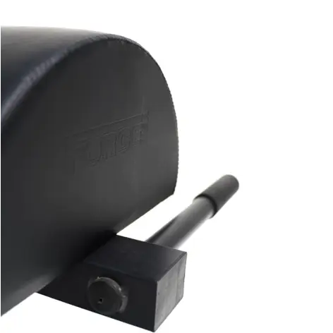 Glute Ham Developer professionnel Force USA - vue 6