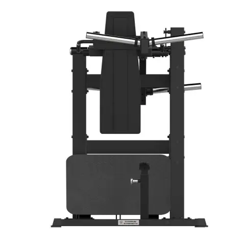 Pendulum squat - vue 2