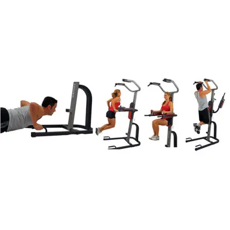 Exercices à la chaise romaine