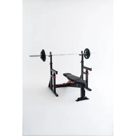 Squat et dip stand - vue 13