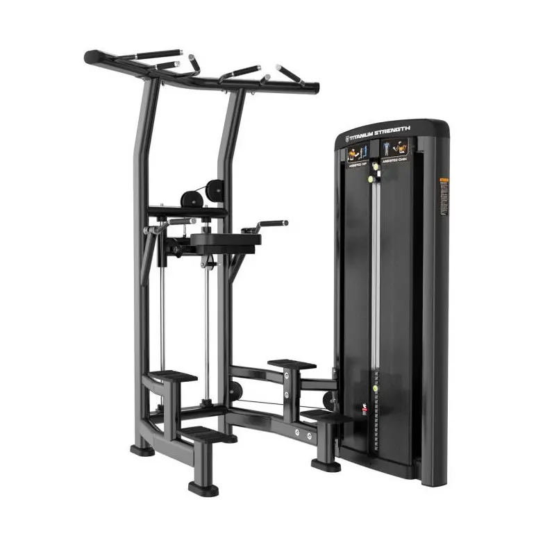 Station pro pour les dips et les tractions assistées