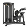 Professionnel back extension machine - vue 2