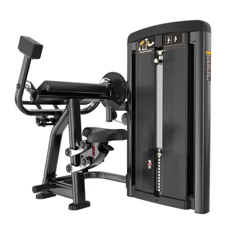 Station curl biceps machine - vue 4