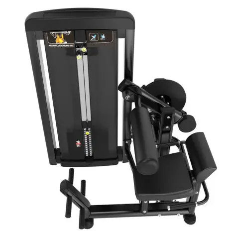 Ab crunch combo back extension machine pro à charge guidée - vue 3