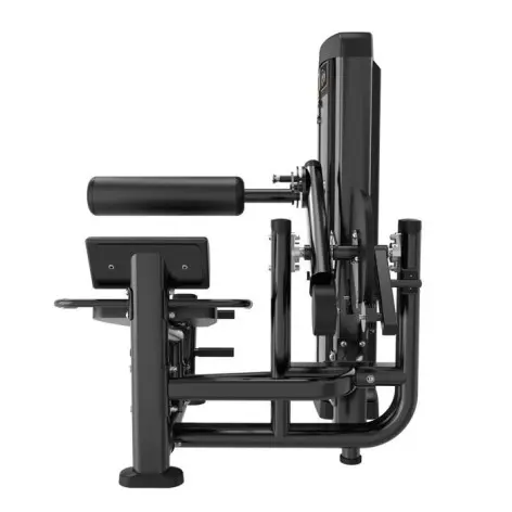 Ab crunch combo back extension machine pro à charge guidée - vue 2