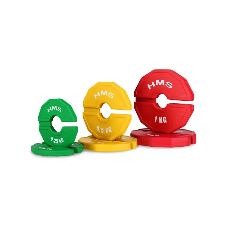 Paire de poids de précision pour la musculation de 0,25 à 1 kg