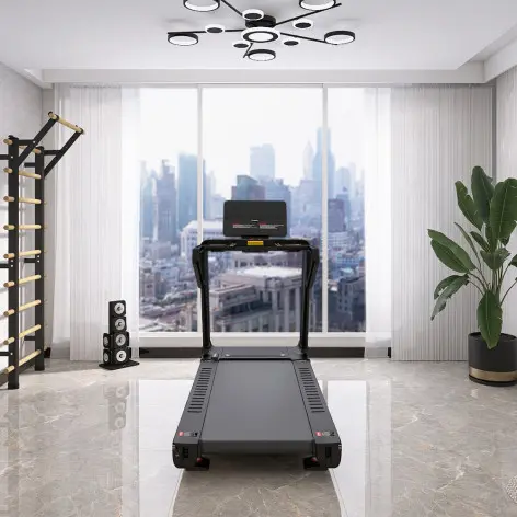 Tapis de course pro - vue 17