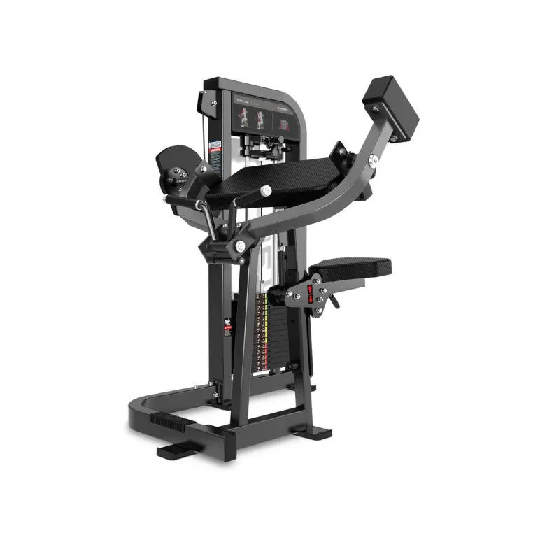 Appareil curl biceps professionnel