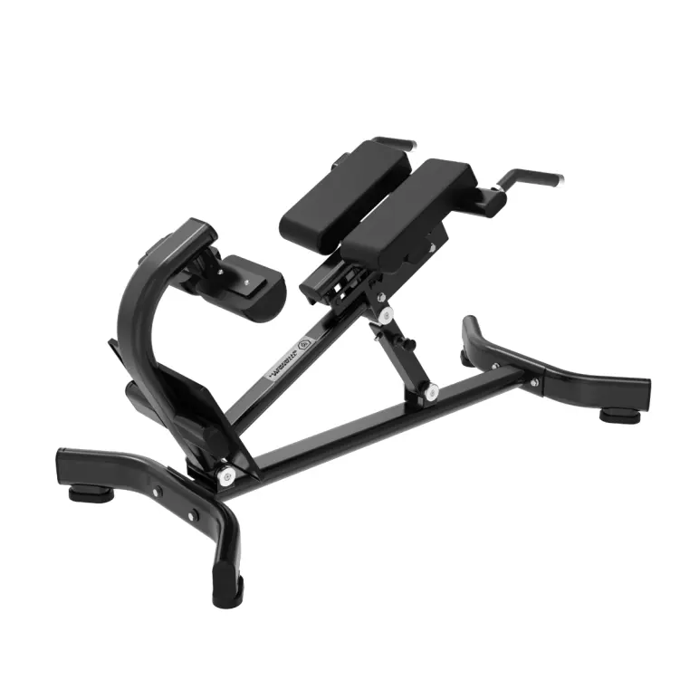 Banc à lombaires Hyperextension - Capacité de charge 200 kg - Black Series Titanium Strength - vue 1