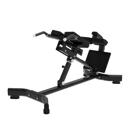 Banc à lombaires Hyperextension - Capacité de charge 200 kg - Black Series Titanium Strength - vue 4